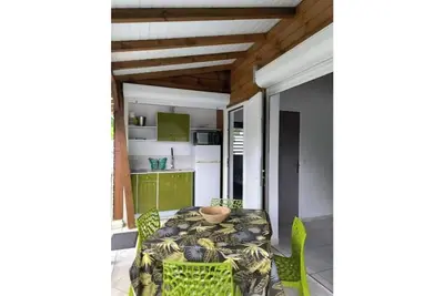 Les papillons Doré - Coco