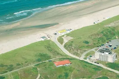 Image de Discover Zeeduin: Beach Walks, Dune Trails, & Cozy Comfort Near the Hotel