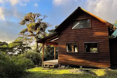 Image de Cloud forest paradise, Monteverde Costa Rica