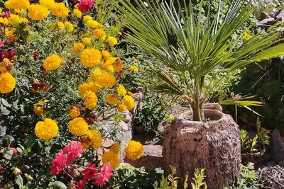 Image de Affordable guest house near to main road, beach and petroglyph museum