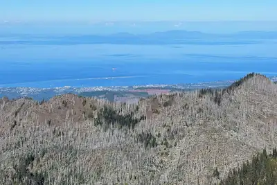 Sequim And Sun