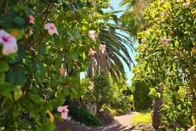 Image de 5 Beach Baby Bungalow for 4+Free parking
