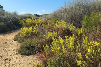 Image de Nouveau refait à neuf détente et plage