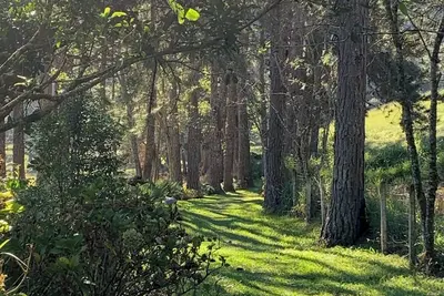 Image de Sítio do Mingo: Country house - The best of nature close to São Paulo!