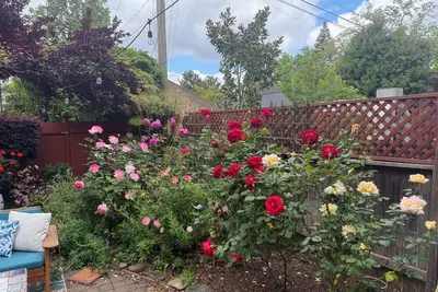 Image de Private Casita in East Sacramento