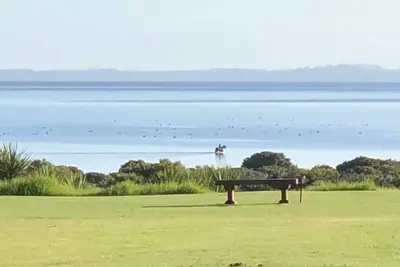 Image de Black Swan Retreat: Lifestyle Charm on a Budget