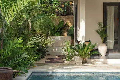 Image de Jungle High-End & Luxurious 3br