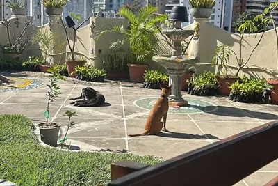 Image de Apartment with terrace in Porto da Barra