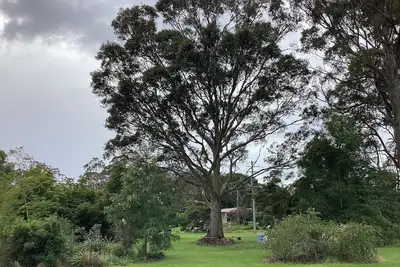 Image de Our Narooma Honeyhouse just minutes away from beaches, boating and bike trails