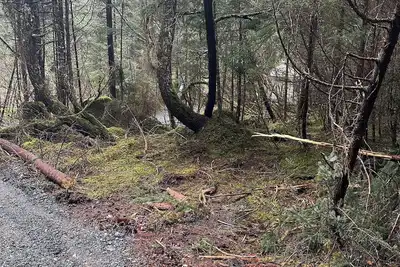 Image de Natural scenic campground in Seward