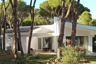 Image de Design and light among the pines