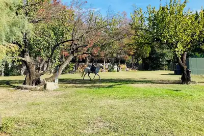 Image de Gîte avec piscine et tennis