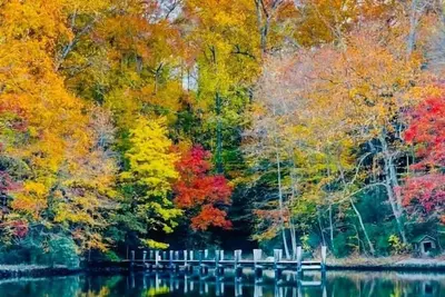 Image de Waterfront home on Mill Creek-5br-3bath-Hot tub, Kayaks & private dock