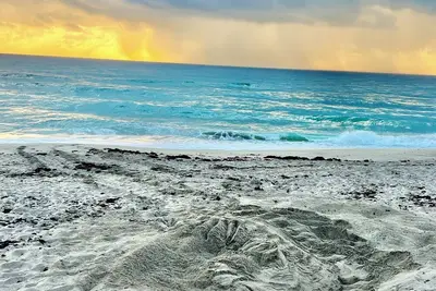 Image de Steps to the beach, pool, & pickleball courts. Relax in this ground-floor condo.