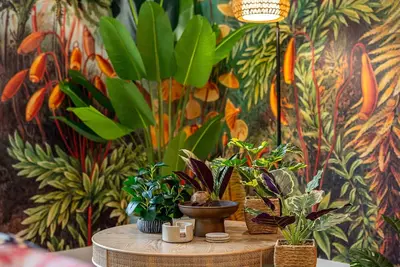 Image de Unwind in Luxury 4 bedrooms Tropical Jungle house with King Beds, Yoga, Games