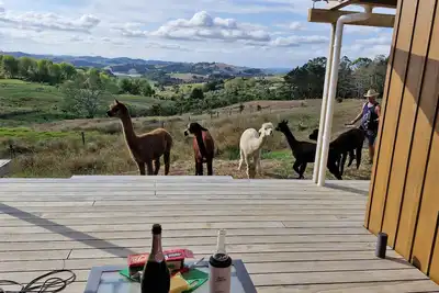 Image de Havenridge Alpaca Glamping Cabins