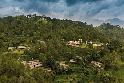 Amaya Kasauli