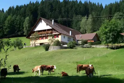 Image de Appartement \"Nichtraucher\" avec jardin partagé, balcon et Wi-Fi