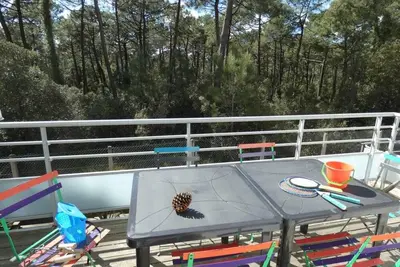 Image de Notre-Dame-de-Monts : Appartement 4 pers, terrasse vue forêt