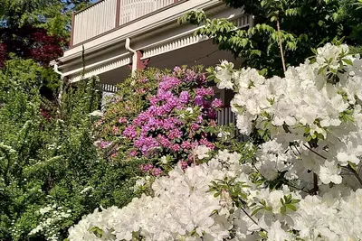 Image de Lovely, bright 2-Br in historic Arlington