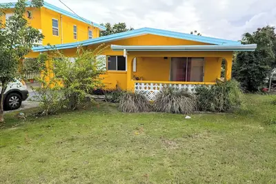 Image de Big Bird! !