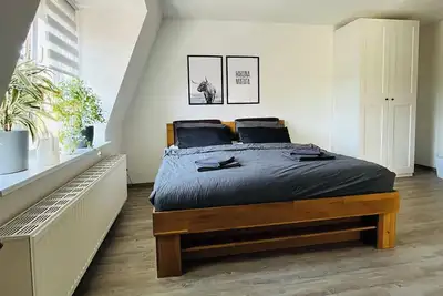 Image de Modern city apartment near Pillnitz Castle