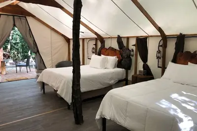 Mossquatch Resort Tent 5- Upgrade your camping experience!