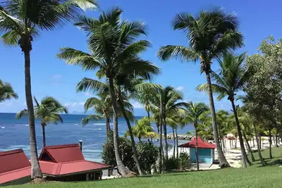Image de Une perle rare des tropiques dans les Caraïbes Françaises