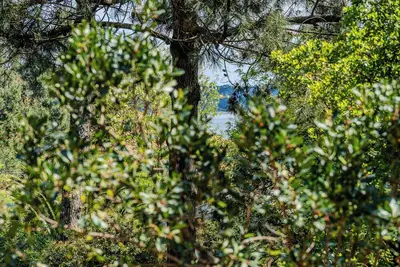 Image de Villa Les Américains