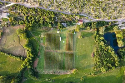 Image de Purple Eye Estate - Camp & Winery (Jokaš)