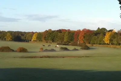 Image de Maison spacieuse au calme avec jolie vue sur la nature, surplombant la rivière.