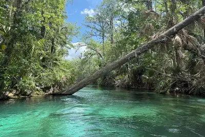 Image de Thrive By Nature- Peaceful 2 Bedroom & 2 Bath Ocala