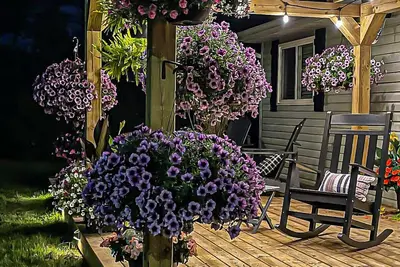 Image de Musician's East Coast Bungalow - 10 mins to Downtown