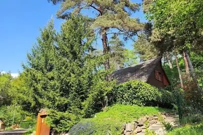 Image de Chalet au bord du lac de Bort les Orgues, ecrin de verdure dans le Cantal