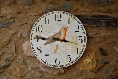 Refúgio do Raposo - Casa Altair