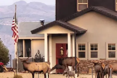 Image de Stunning 3 bedroom walk out basement above Kingman Az in the Hualapai Mountains