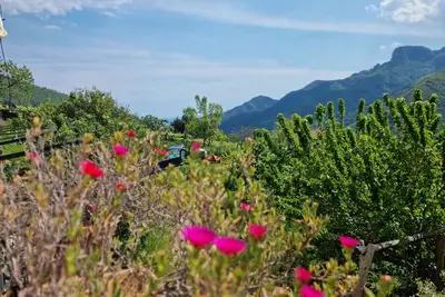 Image de Anna Vacation Home