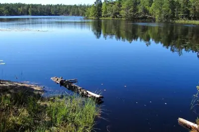 Image de Dream house by the lake, 30 min by car-Stockholm's center, 100 m-nature reserve.