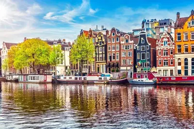 Image de The Perfect Amsterdam Apartment accommadtes 4! !