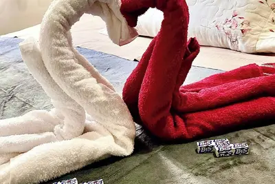 Image de Comfortable house, well located, 3 bedrooms and suite