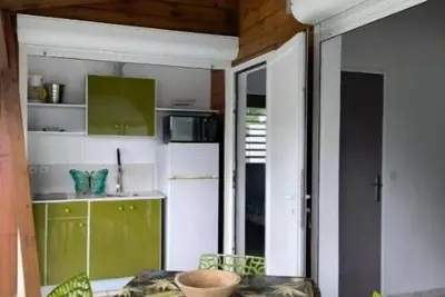 Les papillons Doré - Mongo