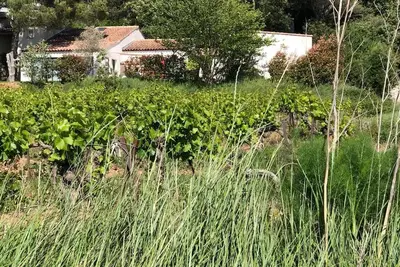Image de Magnifique Villa Au Milieu Des Vignes Et Des Pins Pres D Aix En Provence