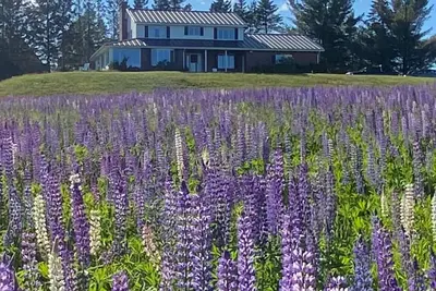 Image de Rangeley Golf Course House, Lake Access, Close to downtown