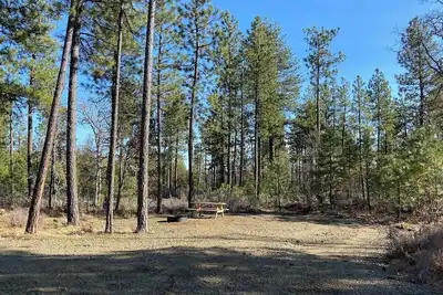 Image de Private Starlit Campsite In the Woods