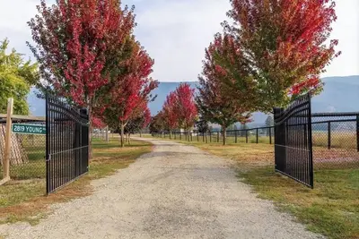 Image de Farm estate, trampoline, goat yoga and feed the farm animals!