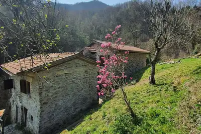 Image de Mulazzo: Historic mill by the river in the middle of nature in northern Tuscany