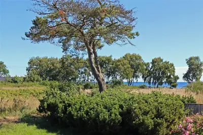 3656 Nexø - Olssonsvej 8