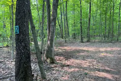Image de Private Wooded Campsite for Tents or Small Rv's #2