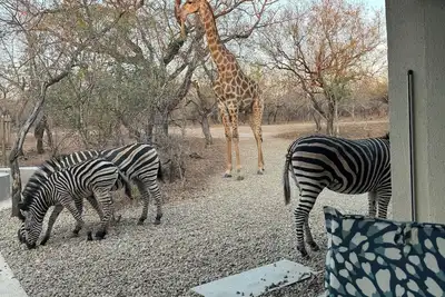 Image de Escape to Chui House – A/C, Pool, WiFi & Wildlife Near Kruger National Park