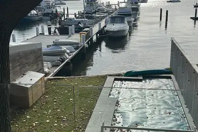 Image de Modern balmain waterfront house with pool close to shops and restaurants